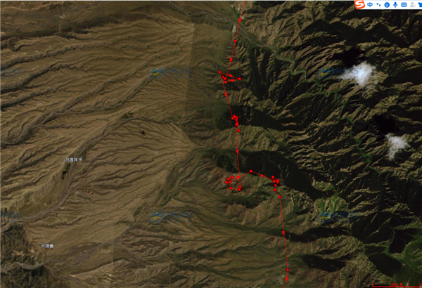 国产福利一区二区三区在线视频-538任你爽精品视频国产-亚洲精品国产乱码不卡-色噜噜国产99性色内射-做A爰片久久毛片A片的价格,湖南野生动物追踪,湖南卫星追踪器,湖南追踪器