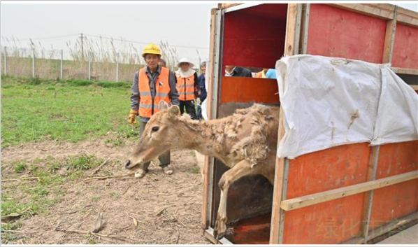 国产福利一区二区三区在线视频-538任你爽精品视频国产-亚洲精品国产乱码不卡-色噜噜国产99性色内射-做A爰片久久毛片A片的价格,湖南野生动物追踪,湖南卫星追踪器,湖南追踪器