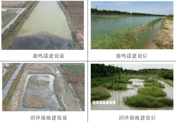 国产福利一区二区三区在线视频-538任你爽精品视频国产-亚洲精品国产乱码不卡-色噜噜国产99性色内射-做A爰片久久毛片A片的价格,湖南野生动物追踪,湖南卫星追踪器,湖南追踪器