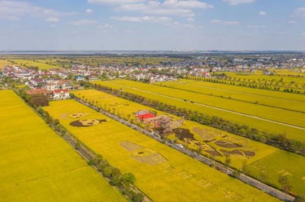 国产福利一区二区三区在线视频-538任你爽精品视频国产-亚洲精品国产乱码不卡-色噜噜国产99性色内射-做A爰片久久毛片A片的价格,湖南野生动物追踪,湖南卫星追踪器,湖南追踪器