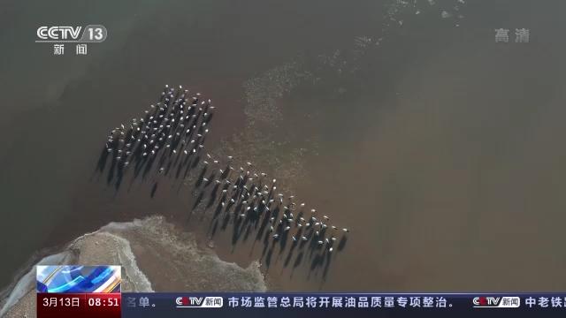 国产福利一区二区三区在线视频-538任你爽精品视频国产-亚洲精品国产乱码不卡-色噜噜国产99性色内射-做A爰片久久毛片A片的价格,湖南野生动物追踪,湖南卫星追踪器,湖南追踪器 国产福利一区二区三区在线视频-538任你爽精品视频国产-亚洲精品国产乱码不卡-色噜噜国产99性色内射-做A爰片久久毛片A片的价格,湖南野生动物追踪,湖南卫星追踪器,湖南追踪器