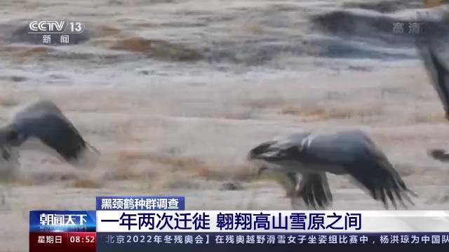 国产福利一区二区三区在线视频-538任你爽精品视频国产-亚洲精品国产乱码不卡-色噜噜国产99性色内射-做A爰片久久毛片A片的价格,湖南野生动物追踪,湖南卫星追踪器,湖南追踪器 国产福利一区二区三区在线视频-538任你爽精品视频国产-亚洲精品国产乱码不卡-色噜噜国产99性色内射-做A爰片久久毛片A片的价格,湖南野生动物追踪,湖南卫星追踪器,湖南追踪器