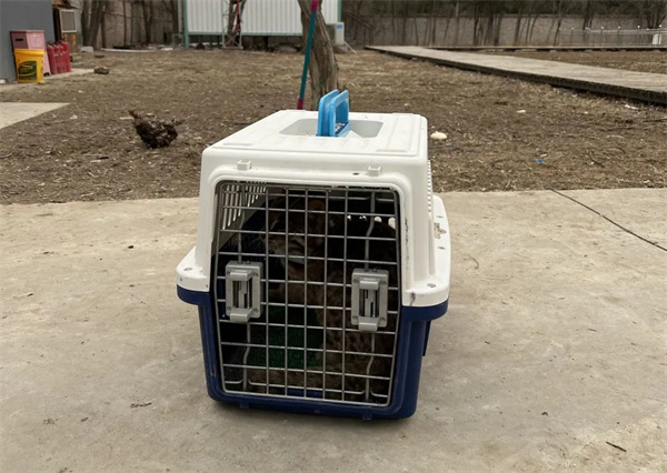 国产福利一区二区三区在线视频-538任你爽精品视频国产-亚洲精品国产乱码不卡-色噜噜国产99性色内射-做A爰片久久毛片A片的价格,湖南野生动物追踪,湖南卫星追踪器,湖南追踪器