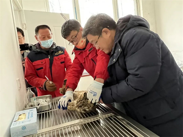 国产福利一区二区三区在线视频-538任你爽精品视频国产-亚洲精品国产乱码不卡-色噜噜国产99性色内射-做A爰片久久毛片A片的价格,湖南野生动物追踪,湖南卫星追踪器,湖南追踪器