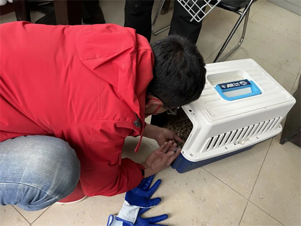 国产福利一区二区三区在线视频-538任你爽精品视频国产-亚洲精品国产乱码不卡-色噜噜国产99性色内射-做A爰片久久毛片A片的价格,湖南野生动物追踪,湖南卫星追踪器,湖南追踪器