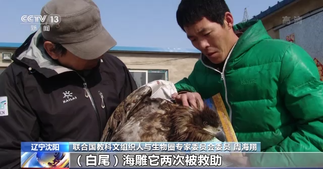 国产福利一区二区三区在线视频-538任你爽精品视频国产-亚洲精品国产乱码不卡-色噜噜国产99性色内射-做A爰片久久毛片A片的价格,湖南野生动物追踪,湖南卫星追踪器,湖南追踪器