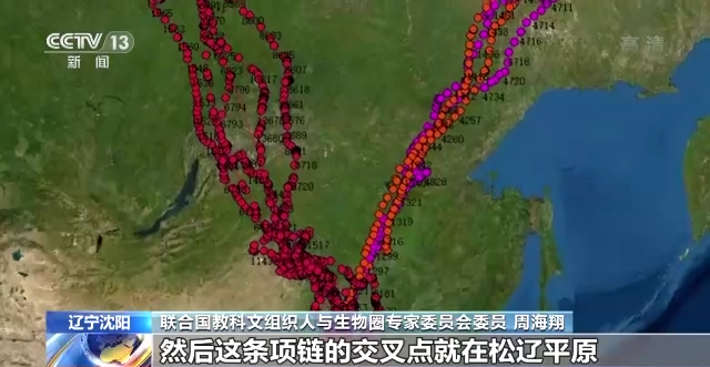 国产福利一区二区三区在线视频-538任你爽精品视频国产-亚洲精品国产乱码不卡-色噜噜国产99性色内射-做A爰片久久毛片A片的价格,湖南野生动物追踪,湖南卫星追踪器,湖南追踪器