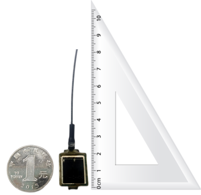 国产福利一区二区三区在线视频-538任你爽精品视频国产-亚洲精品国产乱码不卡-色噜噜国产99性色内射-做A爰片久久毛片A片的价格,湖南野生动物追踪,湖南卫星追踪器,湖南追踪器