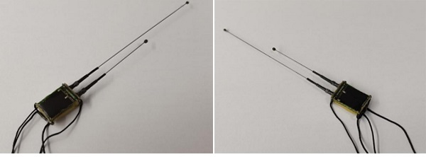 国产福利一区二区三区在线视频-538任你爽精品视频国产-亚洲精品国产乱码不卡-色噜噜国产99性色内射-做A爰片久久毛片A片的价格,湖南野生动物追踪,湖南卫星追踪器,湖南追踪器