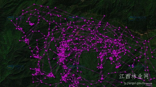 国产福利一区二区三区在线视频-538任你爽精品视频国产-亚洲精品国产乱码不卡-色噜噜国产99性色内射-做A爰片久久毛片A片的价格,湖南野生动物追踪,湖南卫星追踪器,湖南追踪器