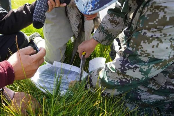 国产福利一区二区三区在线视频-538任你爽精品视频国产-亚洲精品国产乱码不卡-色噜噜国产99性色内射-做A爰片久久毛片A片的价格,湖南野生动物追踪,湖南卫星追踪器,湖南追踪器 国产福利一区二区三区在线视频-538任你爽精品视频国产-亚洲精品国产乱码不卡-色噜噜国产99性色内射-做A爰片久久毛片A片的价格,湖南野生动物追踪,湖南卫星追踪器,湖南追踪器