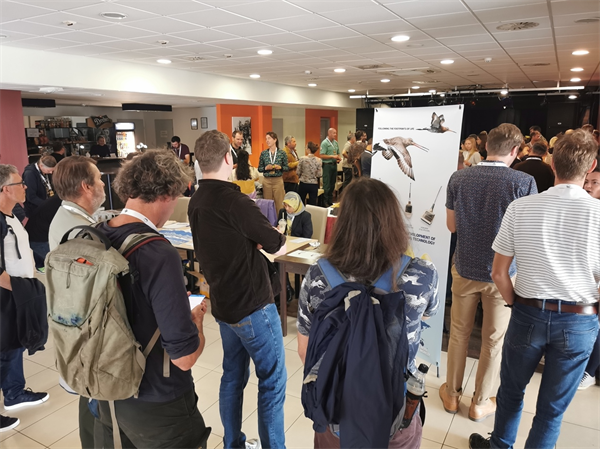 国产福利一区二区三区在线视频-538任你爽精品视频国产-亚洲精品国产乱码不卡-色噜噜国产99性色内射-做A爰片久久毛片A片的价格,湖南野生动物追踪,湖南卫星追踪器,湖南追踪器