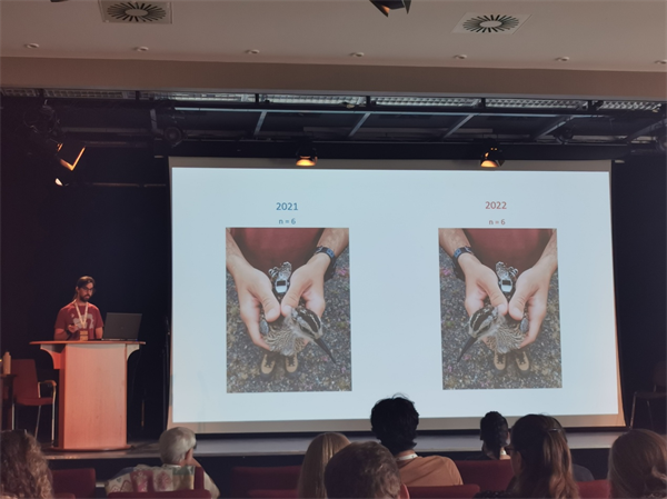 国产福利一区二区三区在线视频-538任你爽精品视频国产-亚洲精品国产乱码不卡-色噜噜国产99性色内射-做A爰片久久毛片A片的价格,湖南野生动物追踪,湖南卫星追踪器,湖南追踪器