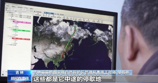 国产福利一区二区三区在线视频-538任你爽精品视频国产-亚洲精品国产乱码不卡-色噜噜国产99性色内射-做A爰片久久毛片A片的价格,湖南野生动物追踪,湖南卫星追踪器,湖南追踪器