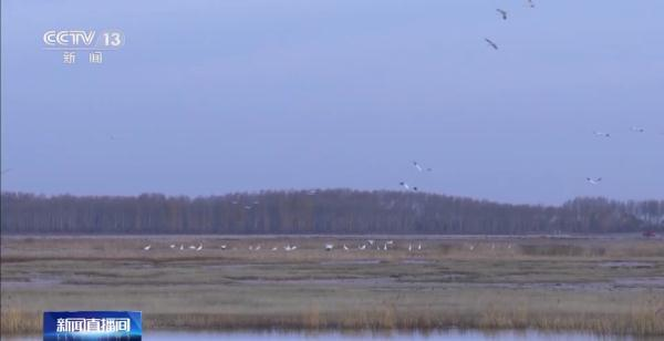 国产福利一区二区三区在线视频-538任你爽精品视频国产-亚洲精品国产乱码不卡-色噜噜国产99性色内射-做A爰片久久毛片A片的价格,湖南野生动物追踪,湖南卫星追踪器,湖南追踪器