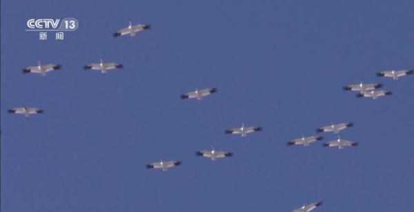 国产福利一区二区三区在线视频-538任你爽精品视频国产-亚洲精品国产乱码不卡-色噜噜国产99性色内射-做A爰片久久毛片A片的价格,湖南野生动物追踪,湖南卫星追踪器,湖南追踪器