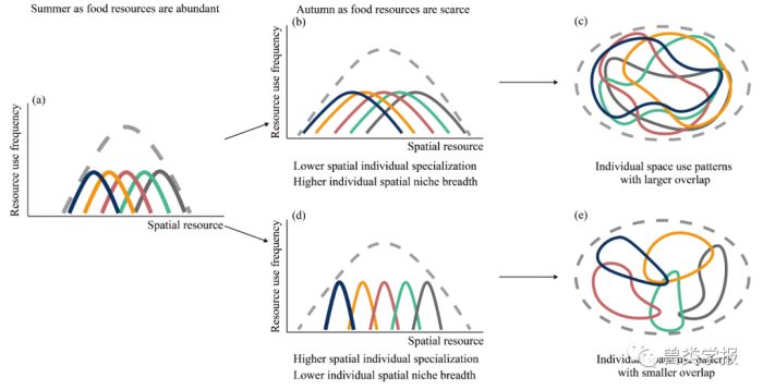 国产福利一区二区三区在线视频-538任你爽精品视频国产-亚洲精品国产乱码不卡-色噜噜国产99性色内射-做A爰片久久毛片A片的价格,湖南野生动物追踪,湖南卫星追踪器,湖南追踪器