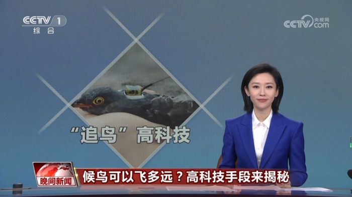 国产福利一区二区三区在线视频-538任你爽精品视频国产-亚洲精品国产乱码不卡-色噜噜国产99性色内射-做A爰片久久毛片A片的价格,湖南野生动物追踪,湖南卫星追踪器,湖南追踪器