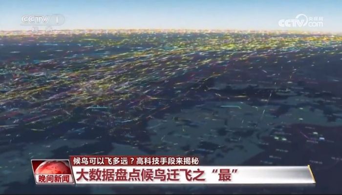 国产福利一区二区三区在线视频-538任你爽精品视频国产-亚洲精品国产乱码不卡-色噜噜国产99性色内射-做A爰片久久毛片A片的价格,湖南野生动物追踪,湖南卫星追踪器,湖南追踪器