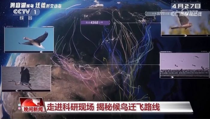 国产福利一区二区三区在线视频-538任你爽精品视频国产-亚洲精品国产乱码不卡-色噜噜国产99性色内射-做A爰片久久毛片A片的价格,湖南野生动物追踪,湖南卫星追踪器,湖南追踪器