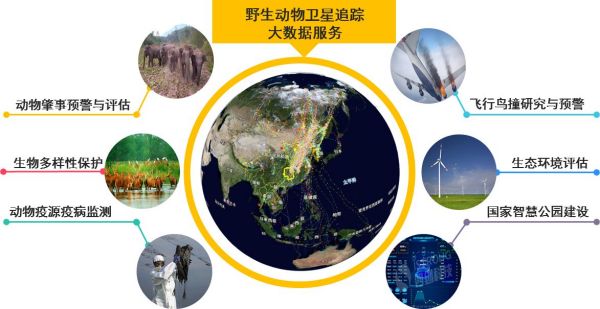 国产福利一区二区三区在线视频-538任你爽精品视频国产-亚洲精品国产乱码不卡-色噜噜国产99性色内射-做A爰片久久毛片A片的价格,湖南野生动物追踪,湖南卫星追踪器,湖南追踪器 国产福利一区二区三区在线视频-538任你爽精品视频国产-亚洲精品国产乱码不卡-色噜噜国产99性色内射-做A爰片久久毛片A片的价格,湖南野生动物追踪,湖南卫星追踪器,湖南追踪器