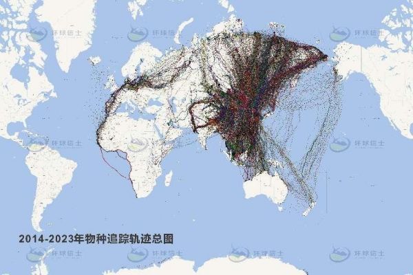 国产福利一区二区三区在线视频-538任你爽精品视频国产-亚洲精品国产乱码不卡-色噜噜国产99性色内射-做A爰片久久毛片A片的价格,湖南野生动物追踪,湖南卫星追踪器,湖南追踪器 国产福利一区二区三区在线视频-538任你爽精品视频国产-亚洲精品国产乱码不卡-色噜噜国产99性色内射-做A爰片久久毛片A片的价格,湖南野生动物追踪,湖南卫星追踪器,湖南追踪器