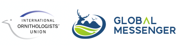 国产福利一区二区三区在线视频-538任你爽精品视频国产-亚洲精品国产乱码不卡-色噜噜国产99性色内射-做A爰片久久毛片A片的价格,湖南野生动物追踪,湖南卫星追踪器,湖南追踪器 国产福利一区二区三区在线视频-538任你爽精品视频国产-亚洲精品国产乱码不卡-色噜噜国产99性色内射-做A爰片久久毛片A片的价格,湖南野生动物追踪,湖南卫星追踪器,湖南追踪器