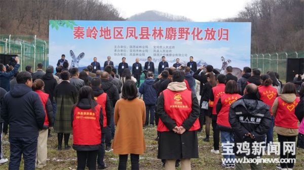 国产福利一区二区三区在线视频-538任你爽精品视频国产-亚洲精品国产乱码不卡-色噜噜国产99性色内射-做A爰片久久毛片A片的价格,湖南野生动物追踪,湖南卫星追踪器,湖南追踪器