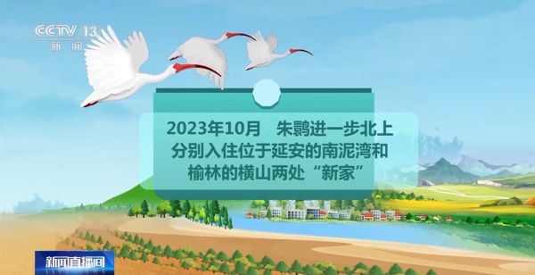 国产福利一区二区三区在线视频-538任你爽精品视频国产-亚洲精品国产乱码不卡-色噜噜国产99性色内射-做A爰片久久毛片A片的价格,湖南野生动物追踪,湖南卫星追踪器,湖南追踪器