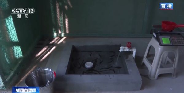 国产福利一区二区三区在线视频-538任你爽精品视频国产-亚洲精品国产乱码不卡-色噜噜国产99性色内射-做A爰片久久毛片A片的价格,湖南野生动物追踪,湖南卫星追踪器,湖南追踪器