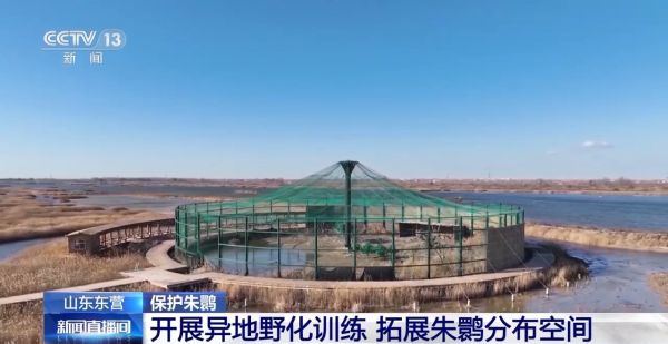 国产福利一区二区三区在线视频-538任你爽精品视频国产-亚洲精品国产乱码不卡-色噜噜国产99性色内射-做A爰片久久毛片A片的价格,湖南野生动物追踪,湖南卫星追踪器,湖南追踪器