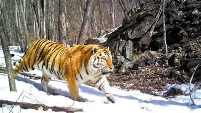 国产福利一区二区三区在线视频