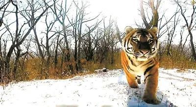 国产福利一区二区三区在线视频