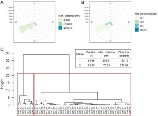国产福利一区二区三区在线视频-538任你爽精品视频国产-亚洲精品国产乱码不卡-色噜噜国产99性色内射-做A爰片久久毛片A片的价格,湖南野生动物追踪,湖南卫星追踪器,湖南追踪器