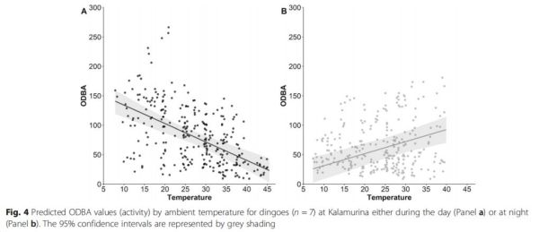 国产福利一区二区三区在线视频-538任你爽精品视频国产-亚洲精品国产乱码不卡-色噜噜国产99性色内射-做A爰片久久毛片A片的价格,湖南野生动物追踪,湖南卫星追踪器,湖南追踪器