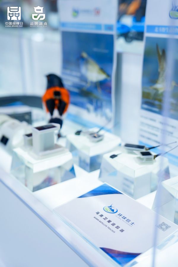 国产福利一区二区三区在线视频-538任你爽精品视频国产-亚洲精品国产乱码不卡-色噜噜国产99性色内射-做A爰片久久毛片A片的价格,湖南野生动物追踪,湖南卫星追踪器,湖南追踪器