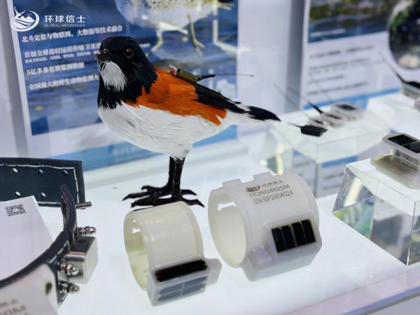 国产福利一区二区三区在线视频-538任你爽精品视频国产-亚洲精品国产乱码不卡-色噜噜国产99性色内射-做A爰片久久毛片A片的价格,湖南野生动物追踪,湖南卫星追踪器,湖南追踪器