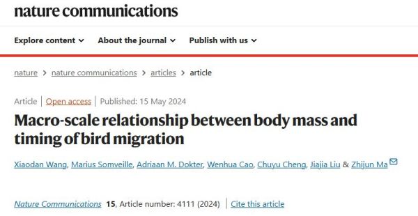 国产福利一区二区三区在线视频-538任你爽精品视频国产-亚洲精品国产乱码不卡-色噜噜国产99性色内射-做A爰片久久毛片A片的价格,湖南野生动物追踪,湖南卫星追踪器,湖南追踪器
