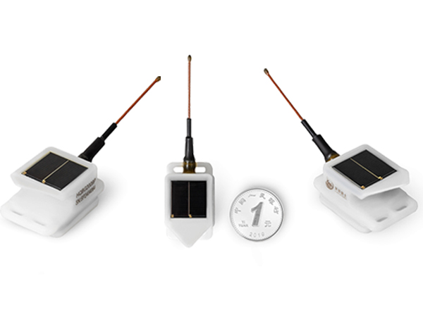 国产福利一区二区三区在线视频-538任你爽精品视频国产-亚洲精品国产乱码不卡-色噜噜国产99性色内射-做A爰片久久毛片A片的价格,湖南野生动物追踪,湖南卫星追踪器,湖南追踪器