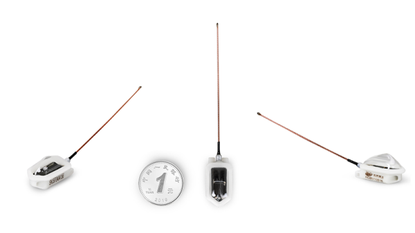 国产福利一区二区三区在线视频-538任你爽精品视频国产-亚洲精品国产乱码不卡-色噜噜国产99性色内射-做A爰片久久毛片A片的价格,湖南野生动物追踪,湖南卫星追踪器,湖南追踪器
