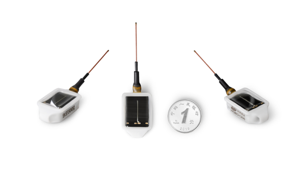 国产福利一区二区三区在线视频-538任你爽精品视频国产-亚洲精品国产乱码不卡-色噜噜国产99性色内射-做A爰片久久毛片A片的价格,湖南野生动物追踪,湖南卫星追踪器,湖南追踪器