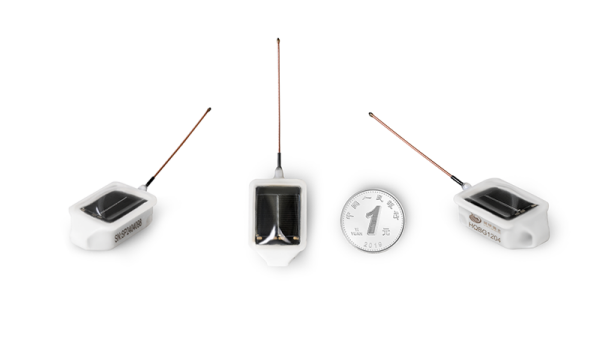 国产福利一区二区三区在线视频-538任你爽精品视频国产-亚洲精品国产乱码不卡-色噜噜国产99性色内射-做A爰片久久毛片A片的价格,湖南野生动物追踪,湖南卫星追踪器,湖南追踪器