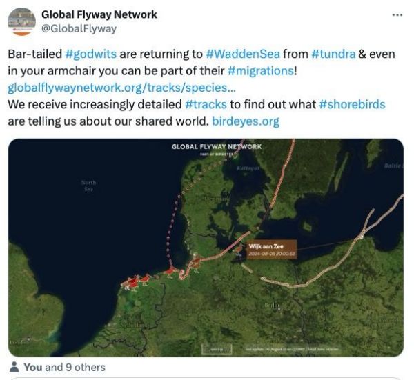 国产福利一区二区三区在线视频-538任你爽精品视频国产-亚洲精品国产乱码不卡-色噜噜国产99性色内射-做A爰片久久毛片A片的价格,湖南野生动物追踪,湖南卫星追踪器,湖南追踪器