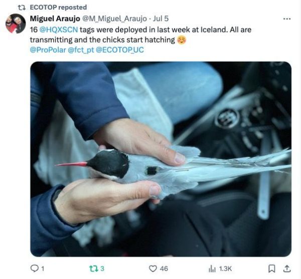 国产福利一区二区三区在线视频-538任你爽精品视频国产-亚洲精品国产乱码不卡-色噜噜国产99性色内射-做A爰片久久毛片A片的价格,湖南野生动物追踪,湖南卫星追踪器,湖南追踪器