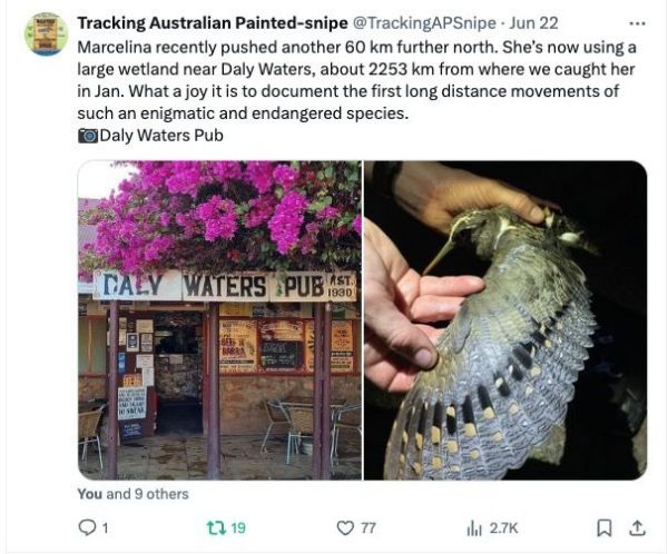 国产福利一区二区三区在线视频-538任你爽精品视频国产-亚洲精品国产乱码不卡-色噜噜国产99性色内射-做A爰片久久毛片A片的价格,湖南野生动物追踪,湖南卫星追踪器,湖南追踪器