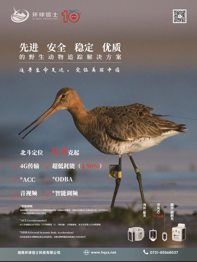 国产福利一区二区三区在线视频-538任你爽精品视频国产-亚洲精品国产乱码不卡-色噜噜国产99性色内射-做A爰片久久毛片A片的价格,湖南野生动物追踪,湖南卫星追踪器,湖南追踪器