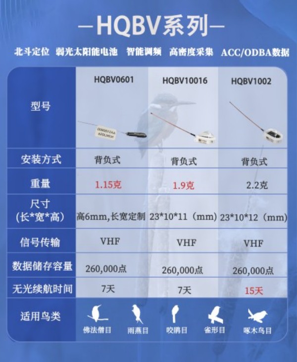 国产福利一区二区三区在线视频-538任你爽精品视频国产-亚洲精品国产乱码不卡-色噜噜国产99性色内射-做A爰片久久毛片A片的价格,湖南野生动物追踪,湖南卫星追踪器,湖南追踪器