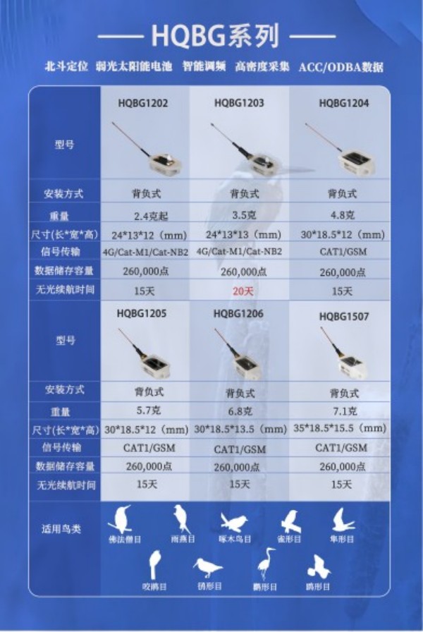 国产福利一区二区三区在线视频-538任你爽精品视频国产-亚洲精品国产乱码不卡-色噜噜国产99性色内射-做A爰片久久毛片A片的价格,湖南野生动物追踪,湖南卫星追踪器,湖南追踪器