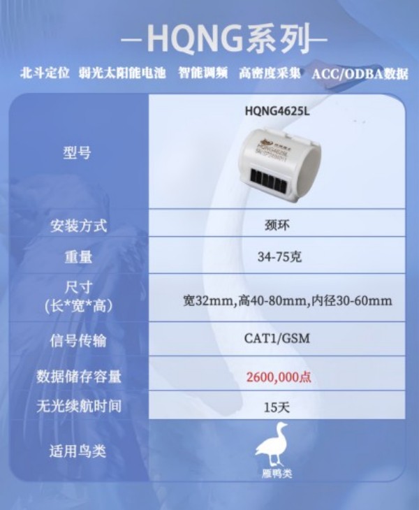 国产福利一区二区三区在线视频-538任你爽精品视频国产-亚洲精品国产乱码不卡-色噜噜国产99性色内射-做A爰片久久毛片A片的价格,湖南野生动物追踪,湖南卫星追踪器,湖南追踪器