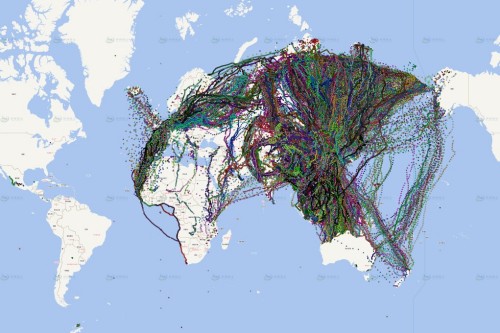 国产福利一区二区三区在线视频-538任你爽精品视频国产-亚洲精品国产乱码不卡-色噜噜国产99性色内射-做A爰片久久毛片A片的价格,湖南野生动物追踪,湖南卫星追踪器,湖南追踪器